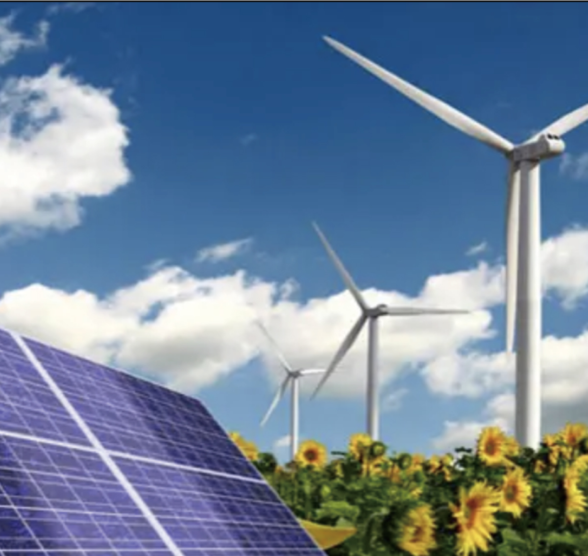 中實業(yè)績圖片整理_畫板 1 副本 6.jpg