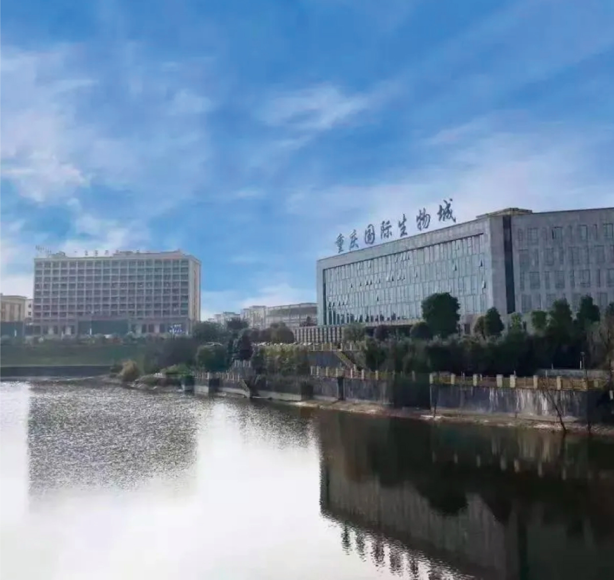 中實(shí)業(yè)績(jī)圖片整理_畫板 1 副本 14.jpg